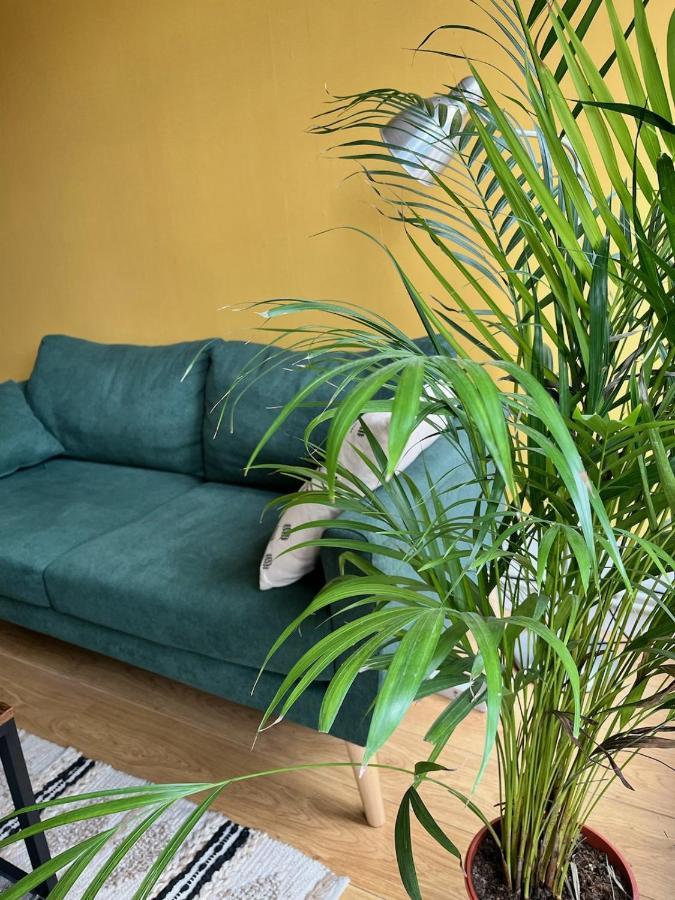 Appartement Avec Terrasse Salle De Sport Et 3 Chambres メス エクステリア 写真